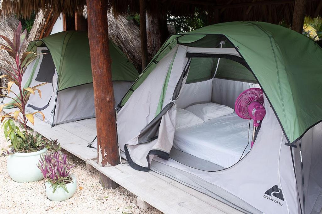 Mapache Hostel & Camping Holbox  Eksteriør bilde