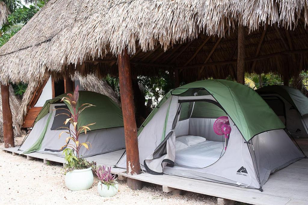 Mapache Hostel & Camping Holbox  Eksteriør bilde